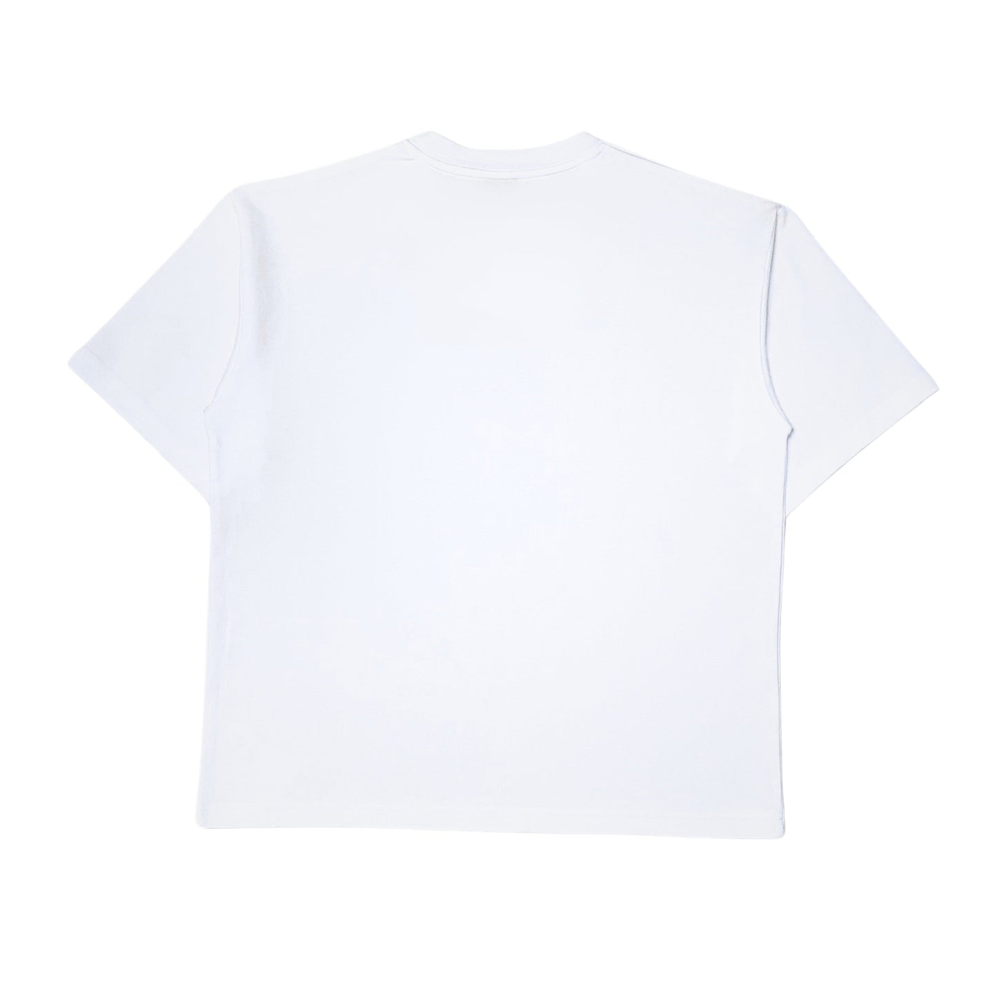 VIN01: AREG Vintage Embroidery Classic Logo Tee